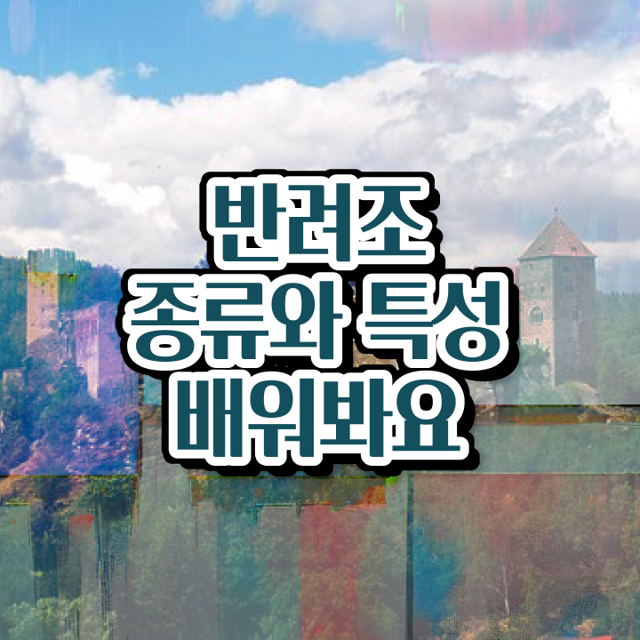  반려조관리사 , 반려조관리사 자격증 비용없이 온라인으로 합격한 팁 궁금하셨다면