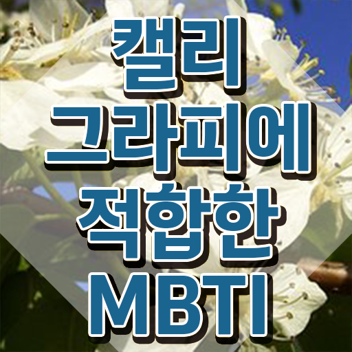  디지털 캘리그라피 , 캘리그라피전문가 자격증 20일 만에 합격한 전략 알아보기