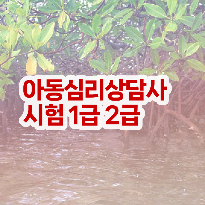  심리상담사 , 심리상담사 자격증 1달 만에 준비한 과정 및 전망