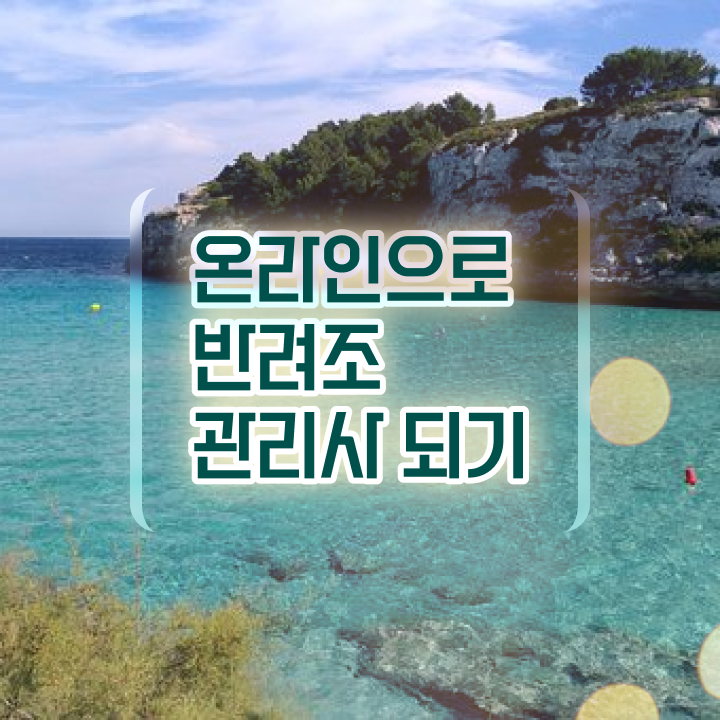 , 반려조관리사 자격증 온라인으로 쉽게 합격정보 추천합니다