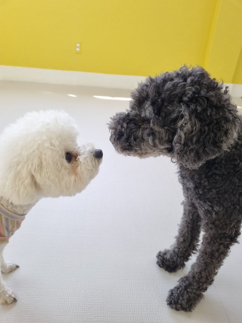 사진 7