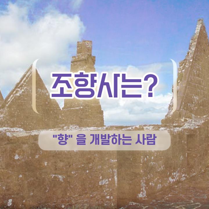  조향사 , 조향사 합격한 후기 , 취업 전망