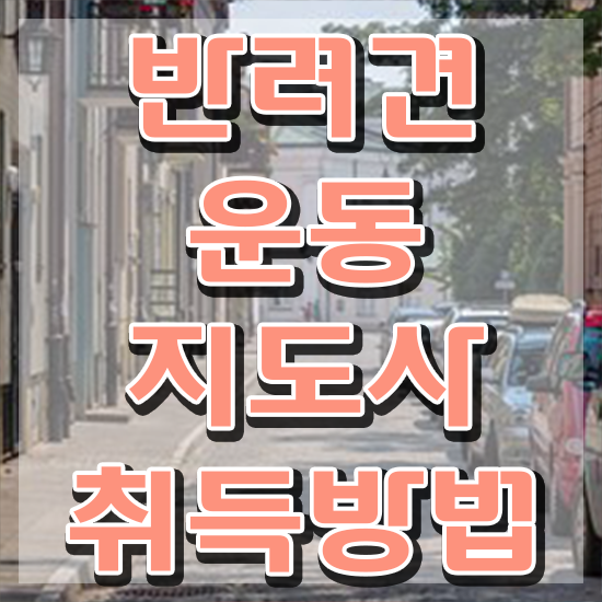 , 직장인도 반려견운동지도사 발급받아 보세요