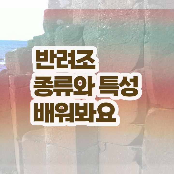  , 반려조관리사 자격증 취득한 과정 알아볼게요