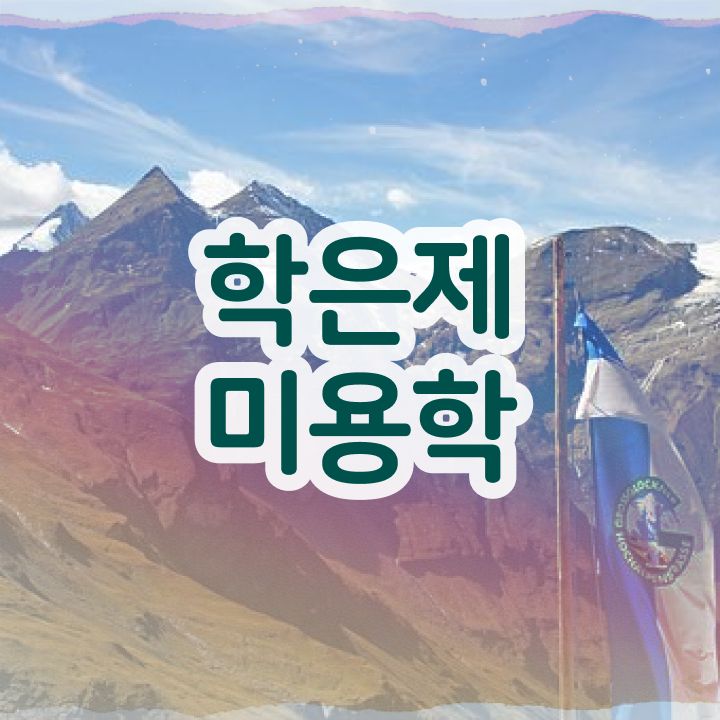  피부미용사 자격증 , 비싼 학원비,재료비 들이지 않고 미용사자격증 따고 취직까지 성공한 노하우