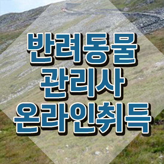  반려동물 등록 과태료 , 반려동물관리사 자격증 응시자격 없이 학습한 후기 및 취업정보