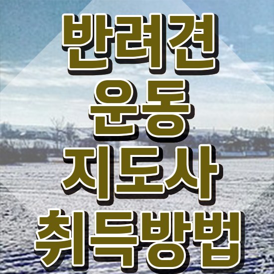  반려견운동지도사 , 반려견운동지도사 간단하게 취득한 노하우