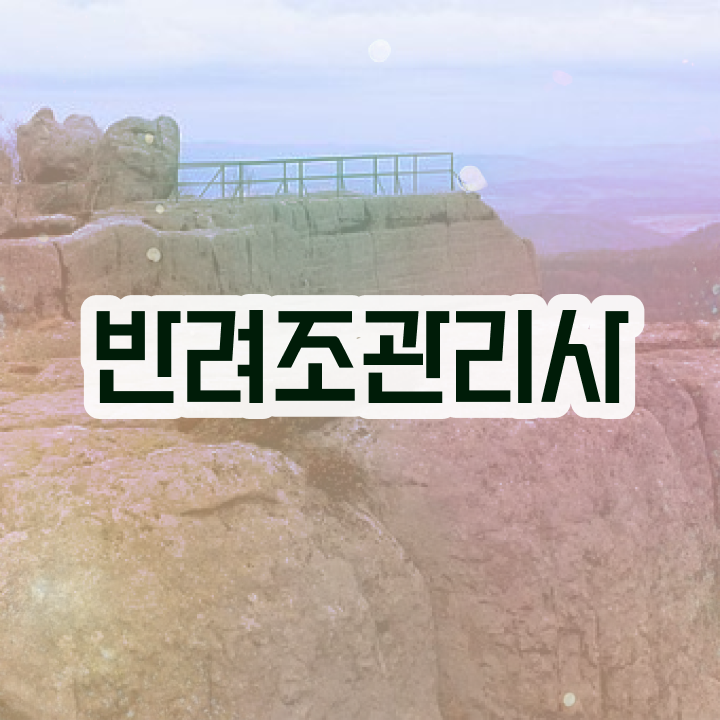  반려조관리사 , 반려조관리사 자격증 1달 만에 취득한 노하우 및 무료수강 혜택
