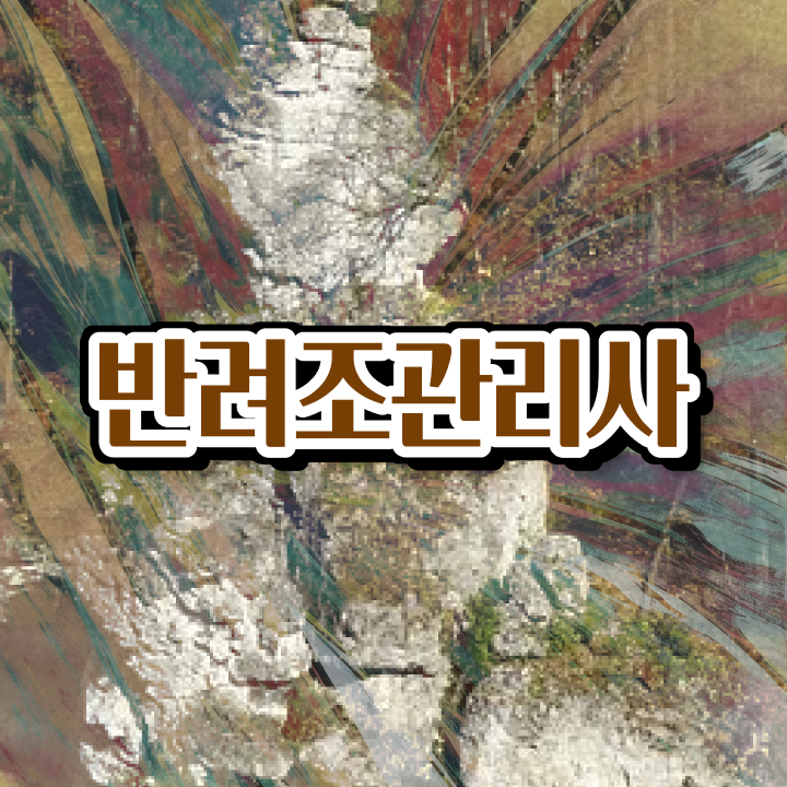  , 반려조관리사 자격증 합격한 비법 필수 정보