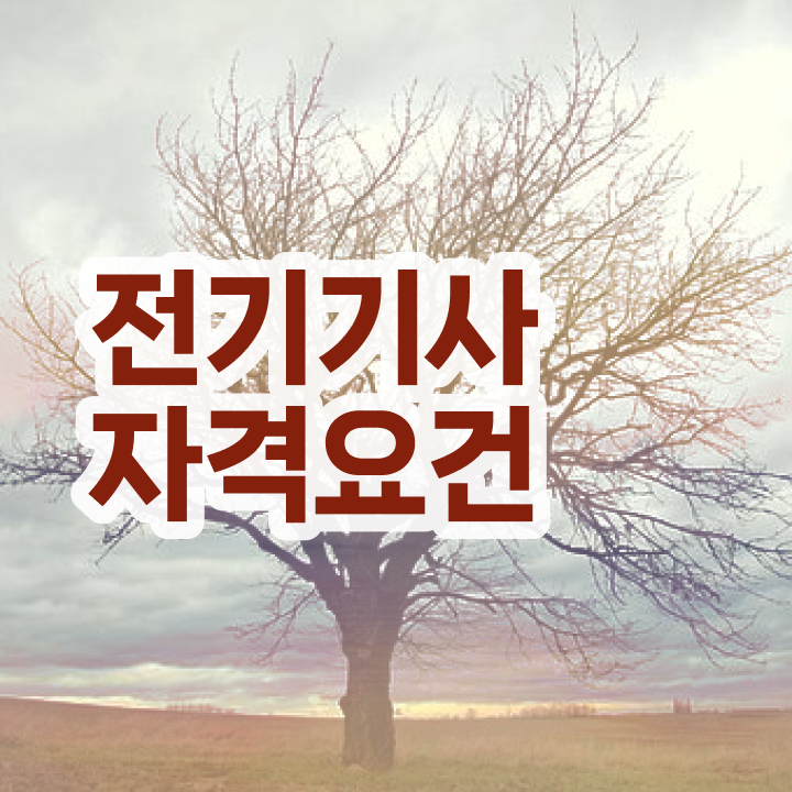  전기기사 필기시험일정 전기기사 취득자격 독학으로 5달만에 완료한 팁
