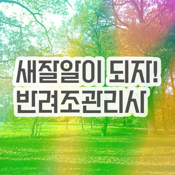  앵무새키우기 , 반려조관리사 자격증 응시자격 없이 합격한 후기 요약해봤어요