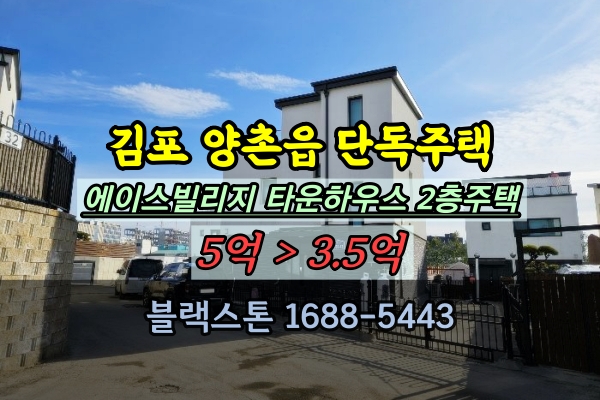  김포시 양촌읍 단독주택 경매 에이스빌리지 타운하우스 2층주택 매매