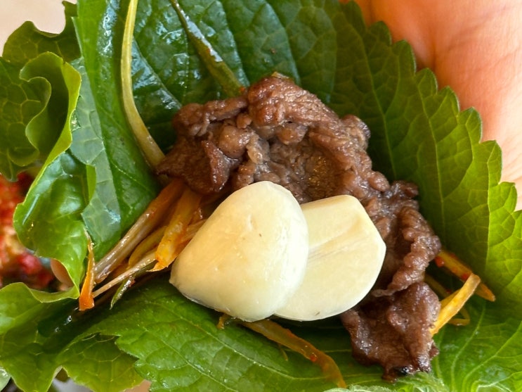  과천 서울대공원맛집 신가네광양불고기 단체 가능 고깃집