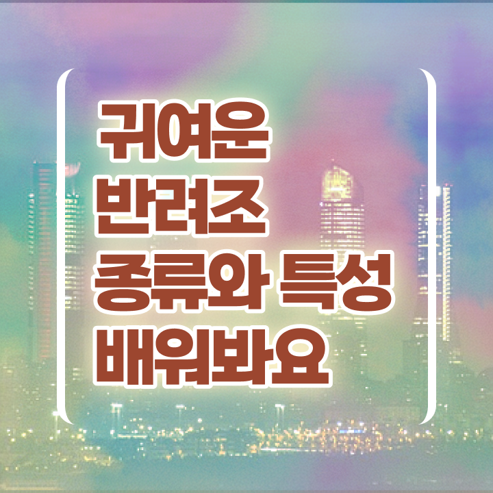  , 반려조관리사 자격증 온라인으로 간단히 시험준비 및 활용 방법
