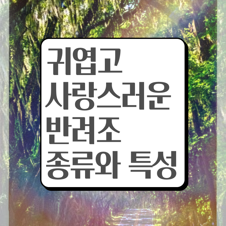  반려조관리사 , 반려조관리사 자격증 한달 만에 취득한 과정 및 전망