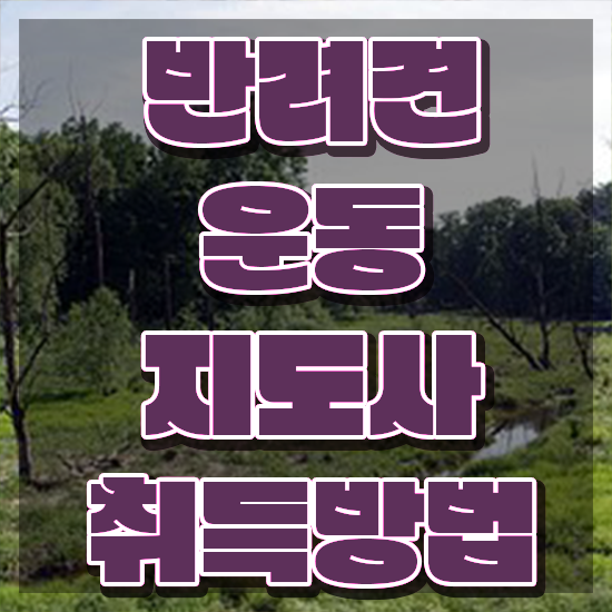  , 실무경력 없어도 반려견운동지도사 취득할 수 있어요