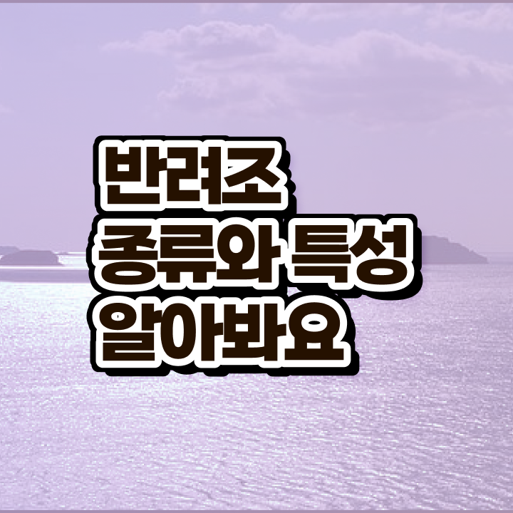  반려조관리사 , 반려조관리사 자격증 독학으로 학습한 후기 확인해보세요
