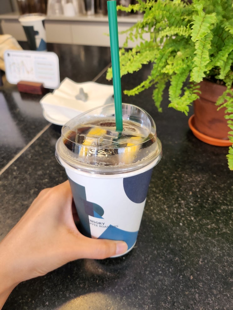  서울 금호동 카페 | 물까지 선택하는 정성스러운 드립 커피 맛집 '센서리 커피 로스터스'