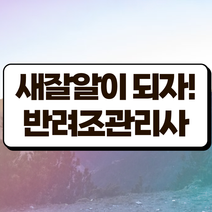  반려조관리사 , 반려조관리사 자격증 독학으로 취득했던 후기 확인하세요