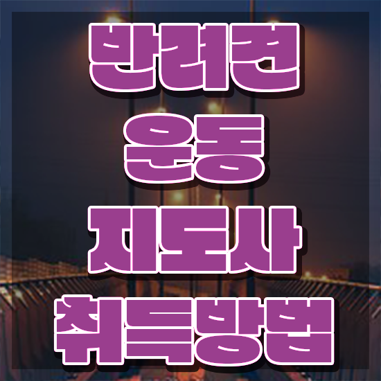  반려견운동지도사 학원 , 온라인 교육으로 반려견운동지도사자격증 취득 노하우