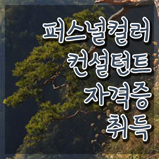  , 퍼스널컬러컨설턴트 인강만으로 손쉽게 준비했던 과정