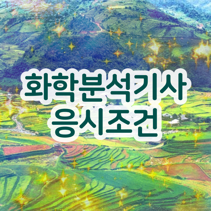  화학분석기사 화학분석기사 시험응시자격 온라인 과정으로 5달만에 성공한 팁
