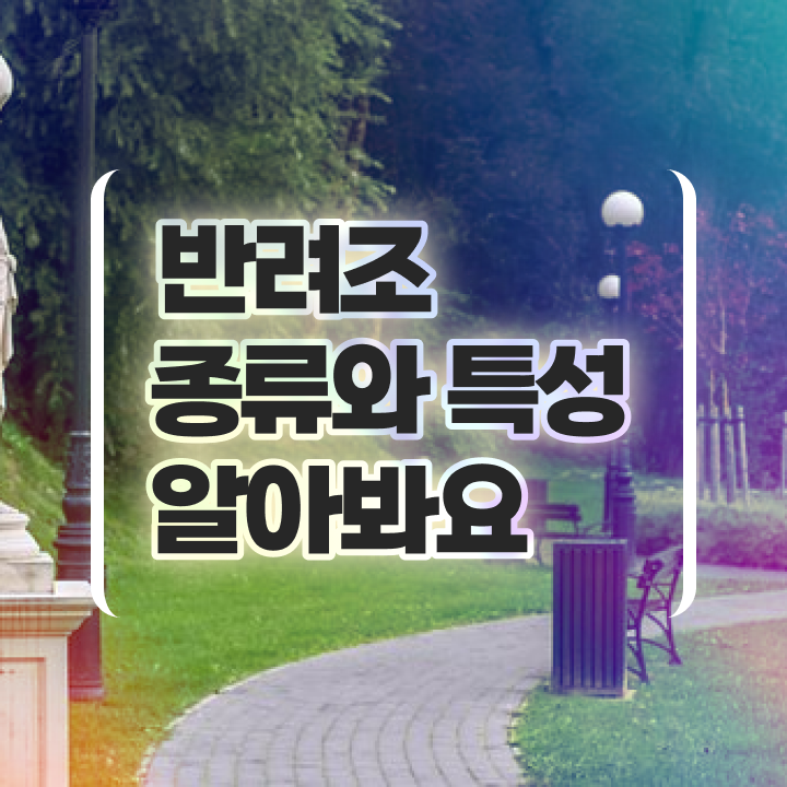  반려조관리사 , 반려조관리사 자격증 15일 만에 취득한 과정 , 고용 전망