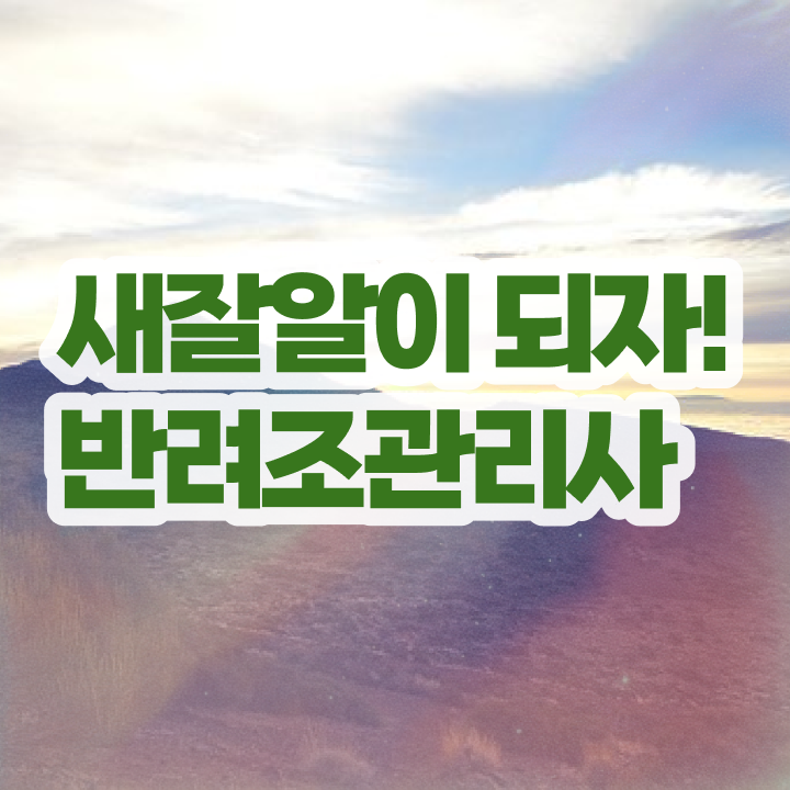  , 반려조관리사 자격증 15일 만에 합격정보 궁금하다면