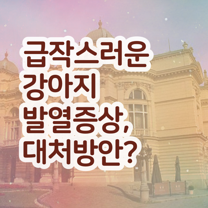  40대주부자격증 , 반려동물관리사 자격증 15일 만에 취득한 방법 , 활용 방법