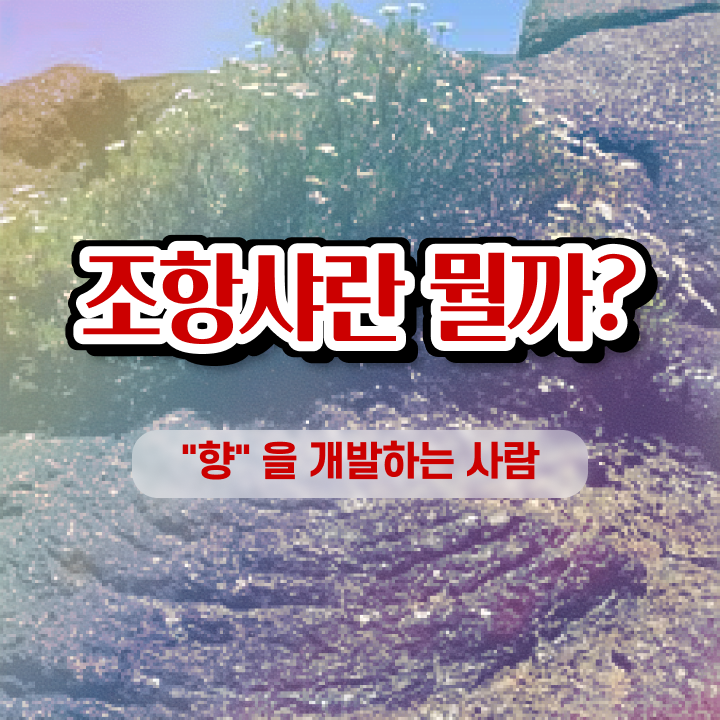  조향사 책 , 조향사 취득 노하우 및 무료수강