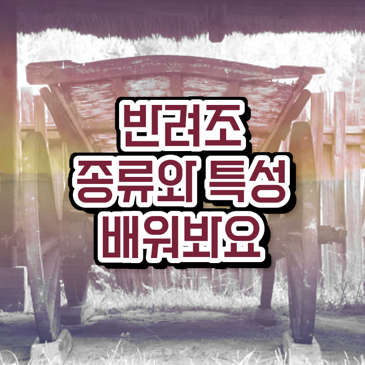  반려조관리사 , 반려조관리사 자격증 취득한 노하우 확인