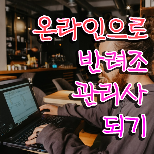  앵무새 가격 , 반려조관리사 자격증 간단하게 합격한 팁 및 전망