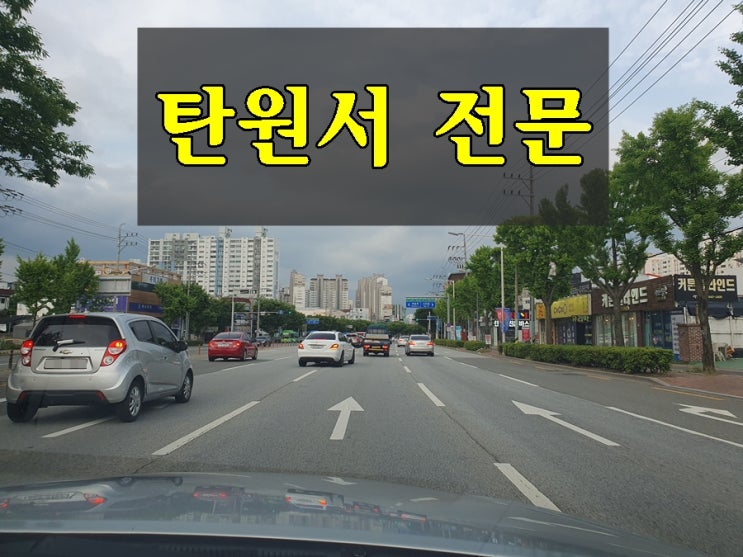  대구 탄원서 전문 무면허 음주운전 사건을 중심으로