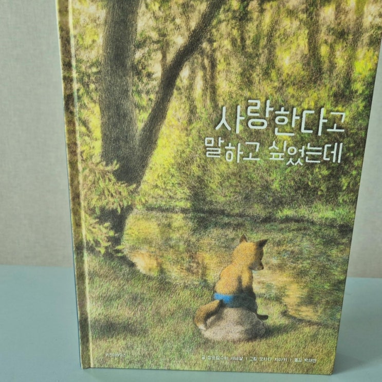  사랑한다고 말하고 싶었는데 위즈덤하우스 그림책