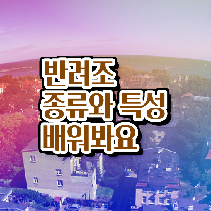  , 반려조관리사 자격증 15일 만에 취득했던 후기 추천합니다