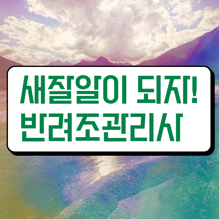  반려조관리사 , 반려조관리사 자격증 준비한 방법 정리해봤어요