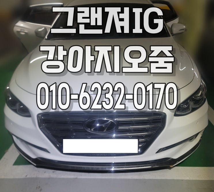  자동차 그랜져IG 강아지오줌 암모니아냄새 찌릉내 제거 시트청소