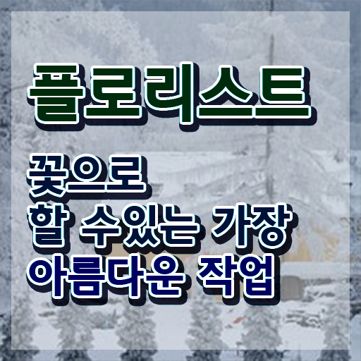  플로리스트 , 플로리스트 자격증 온라인으로 취득한 노하우 , 취업 전망