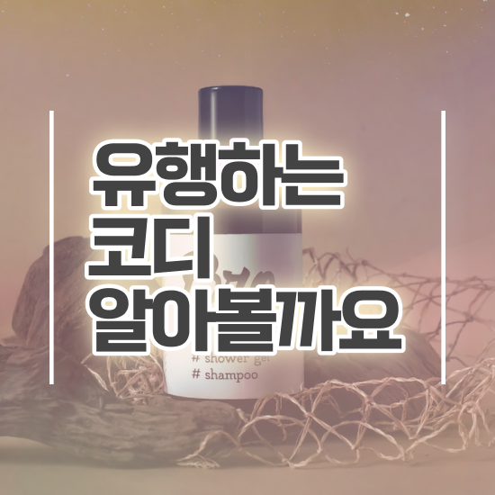 강남퍼스널컬러 , 퍼스널컬러컨설턴트자격증 동영상으로 취득했던 후기