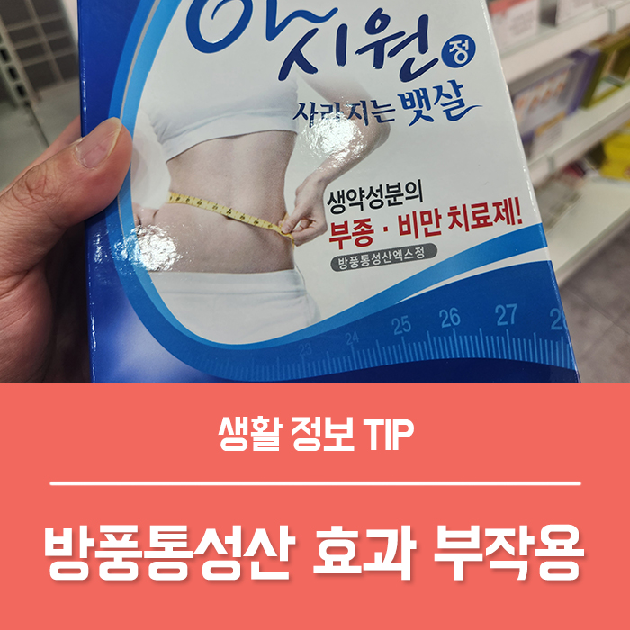  방풍통성산 아시원 효과 TOP3, 복부 비만약 복용법 부작용 총정리!