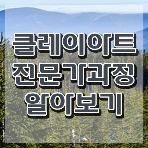  폴리머클레이 클래스 , 클레이아트전문가 자격증 20일 만에 합격한 팁 알아보기