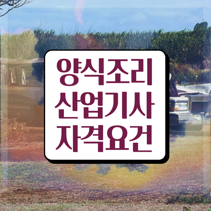  양식조리산업기사 공부기간 양식조리산업기사 자격요건 학점은행제로 단기간에 성공한 과정