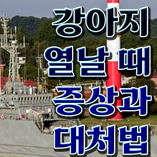  반려견전문가 , 반려동물관리사 자격증 취득한 노하우 추천합니다