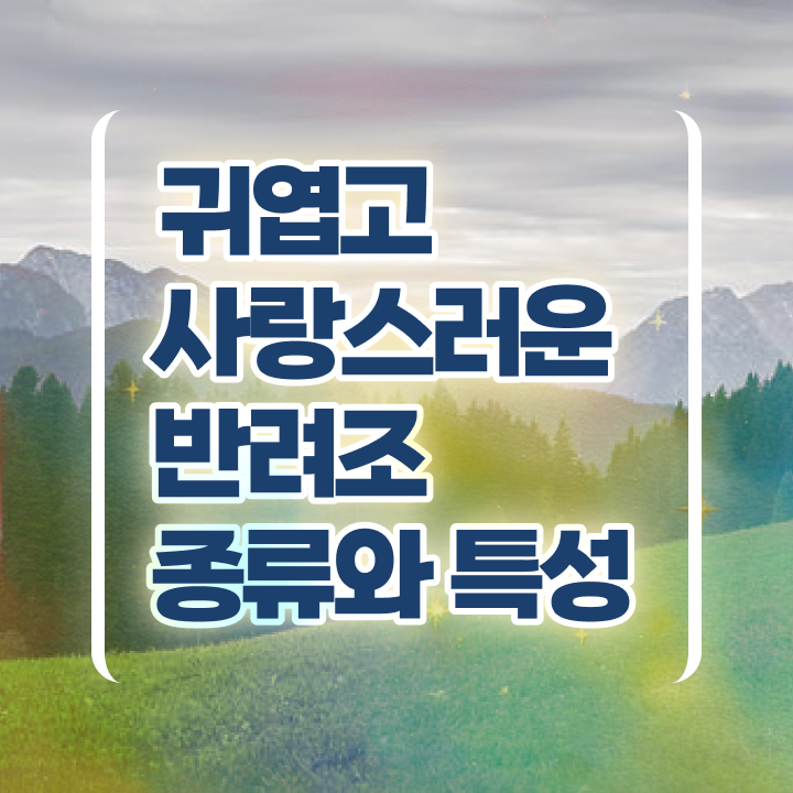  코뉴어 앵무새 키우기 , 반려조관리사 자격증 합격정보 알아보기