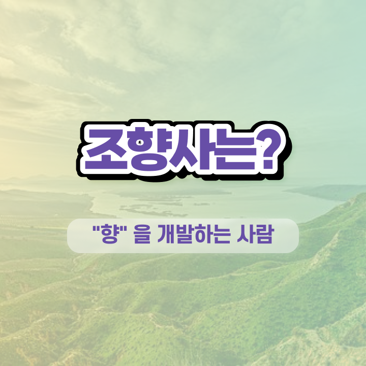  조향사 자격증 , 조향사자격증 한달 만에 준비한 방법 총 정리