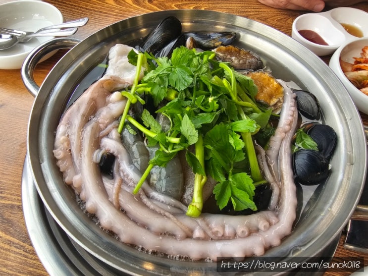  파주 칼국수 해물파전 흥칼 코스식 칼국수