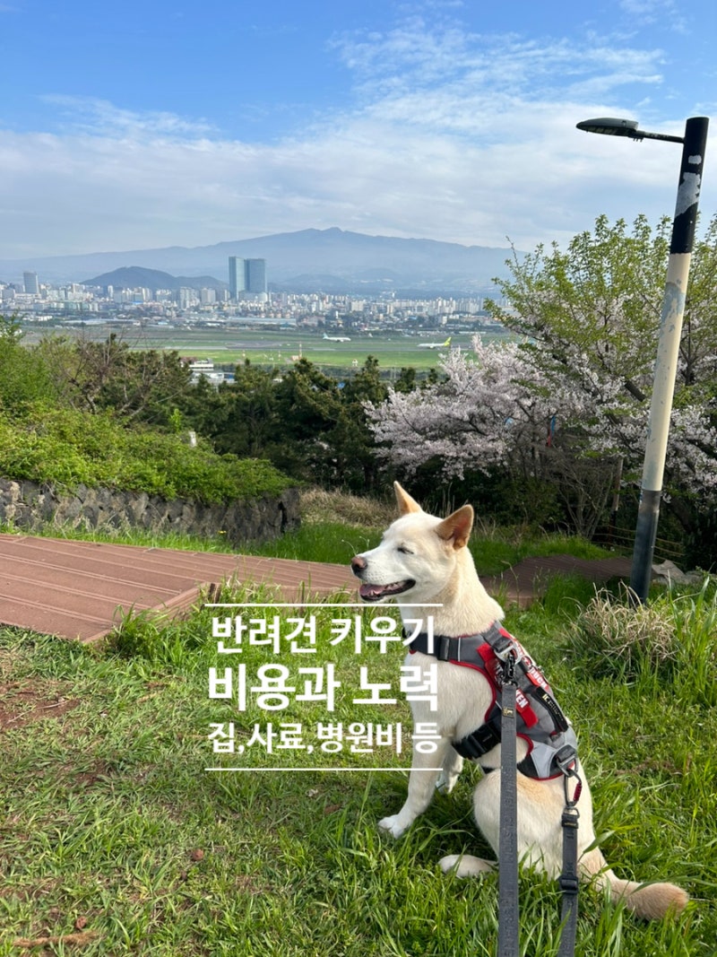 강아지 키우는 데 드는 최소 비용과 시간(대형견 야외 개집, 대형견 퍼피 사료, 예방접종, 중성화 수술, 심장 사상충 예방 등.) :  네이버 블로그