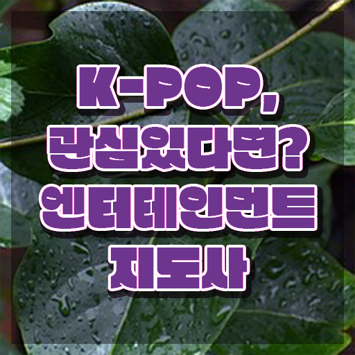  엔터테인먼트지도사 무료 강의 , 엔터테인먼트지도사 자격증 준비한 방법 정리해봤어요