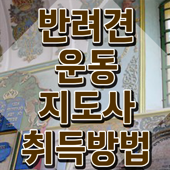  여자 자격증 추천 , 반려견운동지도사 인강만으로 완료한 전략