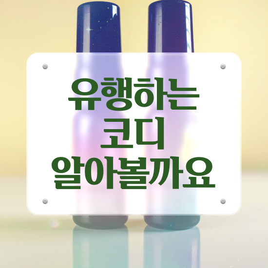  퍼스널컬러컨설턴트자격증 온라인으로 간단히 취득한 과정